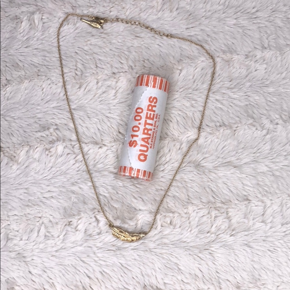 Chloe and Isabel feather necklace